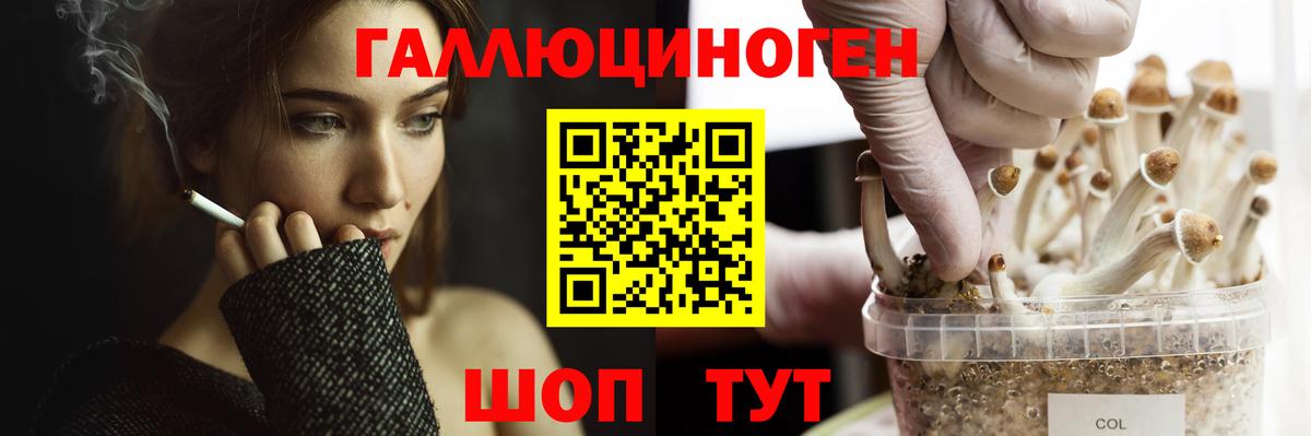 где найти наркотики  Вход с VPN  Ипатово  Галлюциногенные грибы GOLDEN TEACHER 