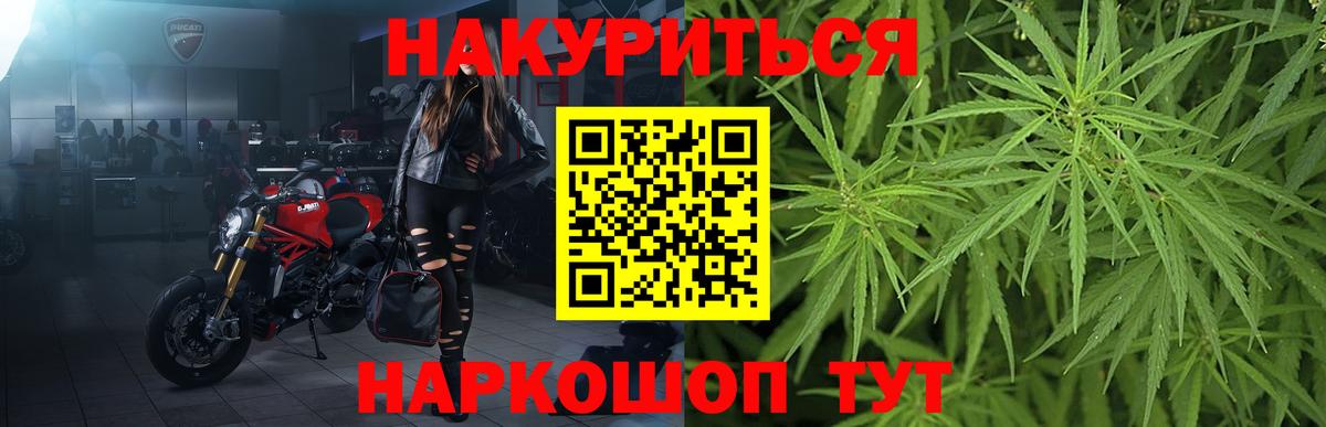 Конопля MAZAR Ипатово